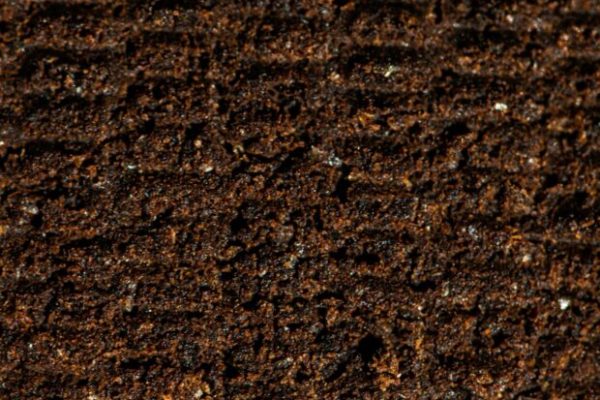 Weekly Coffee News: Cold Brew Manufacturing Safety + Promoting Women in Coffee